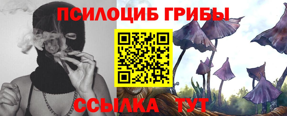 Псилоцибиновые грибы Cubensis Кушва